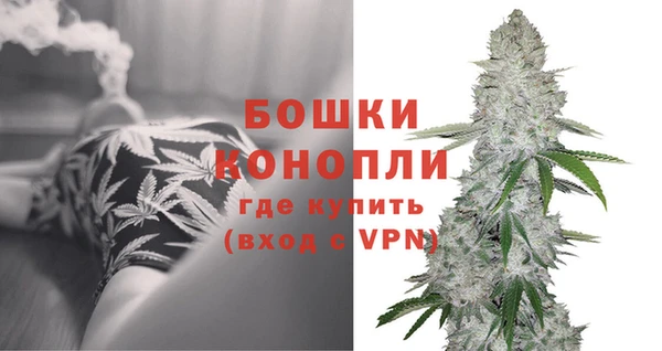 спиды Медвежьегорск